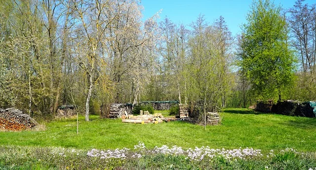 Stos drewna opałowego ułożony przy szopie w letnim ogrodzie