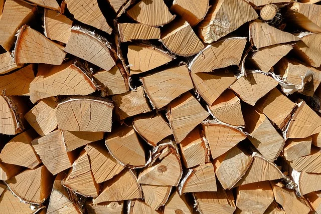Drewno opałowe układane w składzie do letniego suszenia