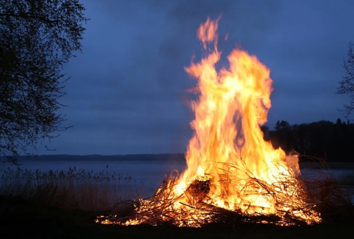 Ognisko z sezonowanych polan drewna liściastego w ogrodzie o zmierzchu