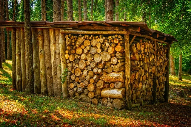 Ułożony stos sezonowanego drewna opałowego przygotowanego na sezon grzewczy