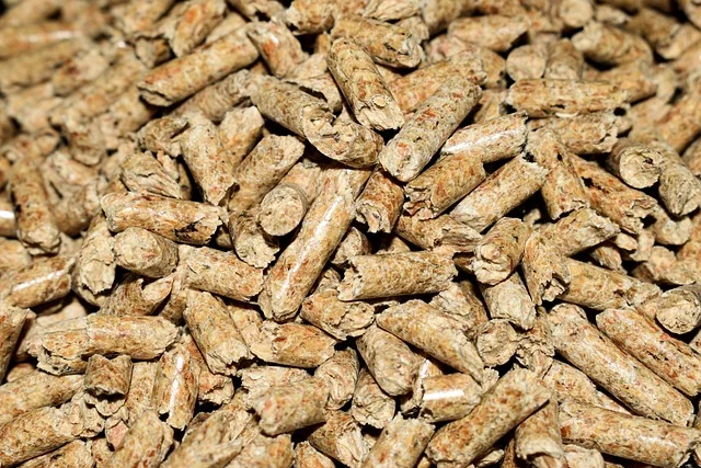 Pellet drzewny - sprasowane granulki z trocin jako paliwo do kotła