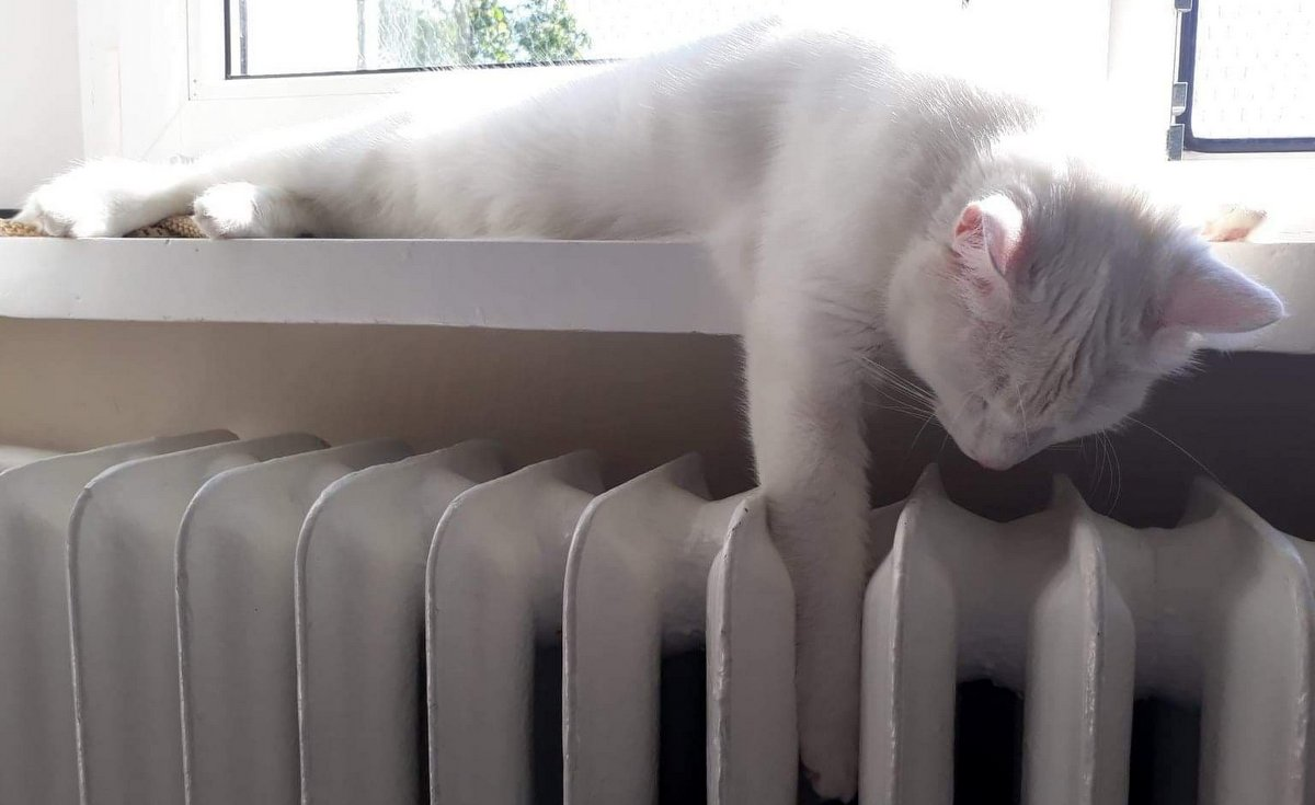 Sezon grzewczy 2025/26: jak kupować opał mądrze i bezpiecznie