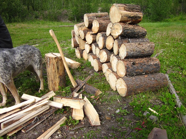 Zadaszona wiata na drewno z drewnem ułożonym do sezonowania