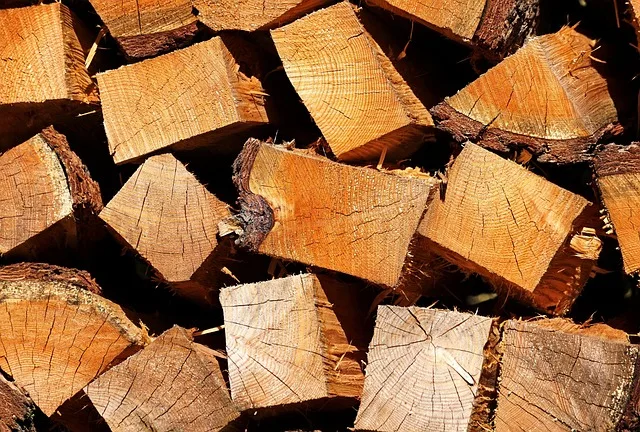 Osoba układająca szczapy drewna w przydomowej drewutni przed zimą
