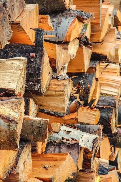 Zadaszona drewutnia z ułożonymi szczapami drewna opałowego